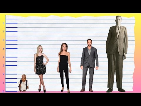 Dakota Fanning Measurements