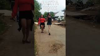 Download lagu FAKTA WARIA(wanita pria)menurut kalian bener/ngk. mp3 Download lagu FAKTA WARIA(wanita pria)menurut kalian bener/ngk. mp3
