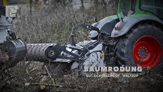 Robert KRAMER - Baumrodung