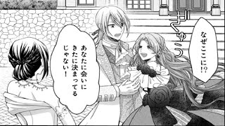 【異世界漫画】婚約者は他国の姫と、私は第二夫人として 1~10【マンガ動画】