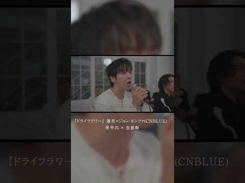 『ドライフラワー』 優里×ジョン・ヨンファ(CNBLUE) ｜ 유우리 × 정용화#shorts