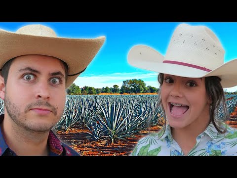 Cabalgando con Don Silverio ! 🤠😂