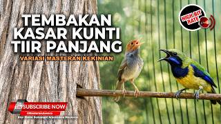 Download lagu 🔴 Live Cucak Cungkok Gacor Masteran Juwara Tembakan Kunti Panjang vs Prenjak Tir Gacor Panjang mp3 Download lagu 🔴 Live Cucak Cungkok Gacor Masteran Juwara Tembakan Kunti Panjang vs Prenjak Tir Gacor Panjang mp3