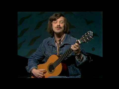 Thorstein Bergman – Vilse