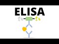 ELISA (Enzyme-linked Immunosorbent Assay)