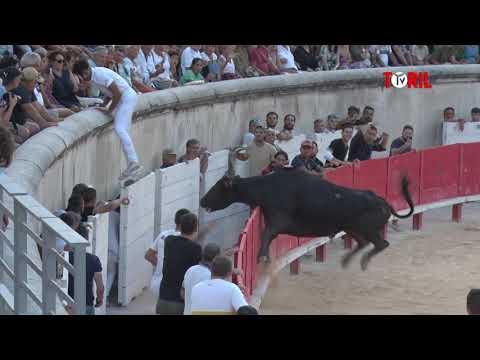 Nîmes (17/08/2023) - Retour sur les meilleures images de la course