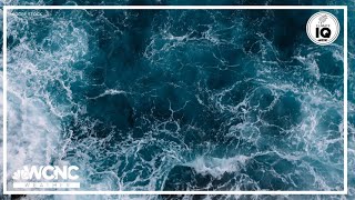How warming ocean temperatures impact the Earth