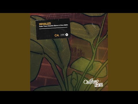 Video thumbnail for Whales