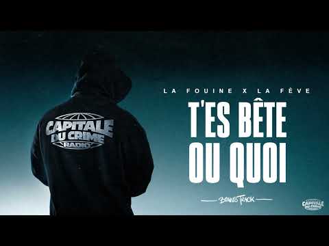 Video thumbnail for T’es bête ou quoi