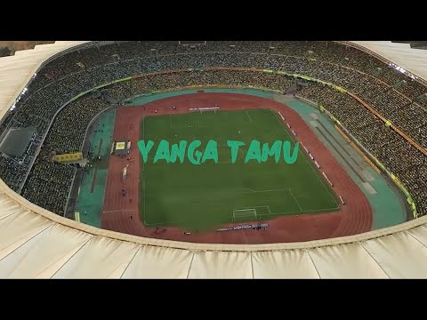Marioo -  YANGA Tamu (Official Video)