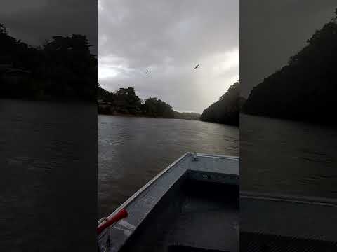 #rio #piracicaba #riopiracicaba