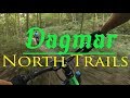 Best MTB trails in Toronto GTA: Dagmar North Trails