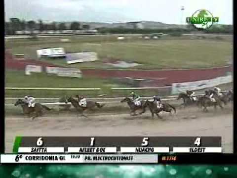 24/06/2013, Corridonia , Premio Electrocutionist