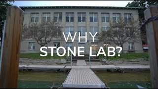 Why Stone Lab? Promo Video