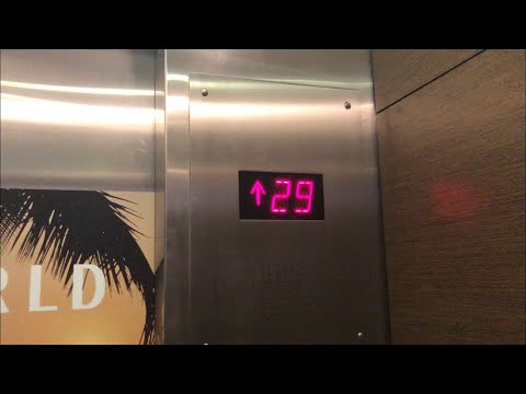 Schindler/Westinghouse Elevators @ Hyatt Regency Ohare Executive Tower - Rosemont, IL.
