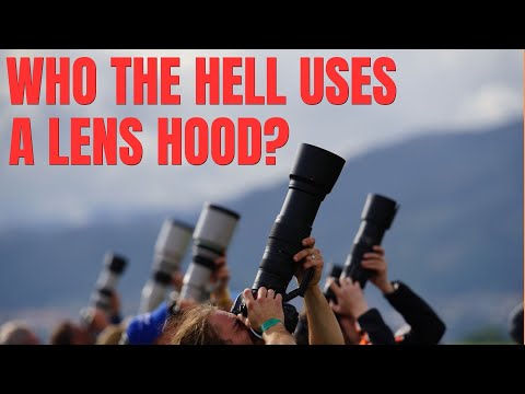 Some think We Don't Need a Lens Hood - Do you?