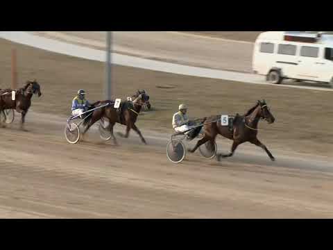 2018.03.10. 6. futam - PIPACSOS DÍJ