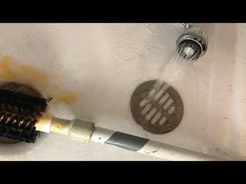 This is How You Get Drain Flies in Old Bridge, NJ