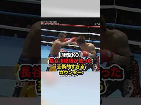 【衝撃KO】長谷川穂積が放った芸術的すぎるカウンター #格闘技