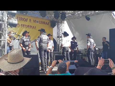 Os melhores  Catireiros do Brasil  (Os Considerados)