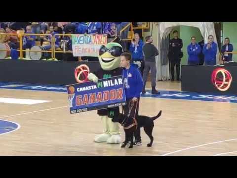 Triple Daniel Martín (arquero invidente) en el Perfumerías Avenida - Valencia Basket