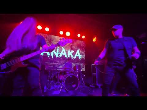 AnAkA - BLEEDING ME (Metallica Cover) at The Meadows - 11/8/25 - PHTHALO FEST 3.  Fan Cam.