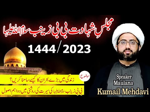 Shahadat e Bibi Zainab (sa) | 2023/1444 | How to handle crisis in our life? | Maulana Kumail Mehdavi