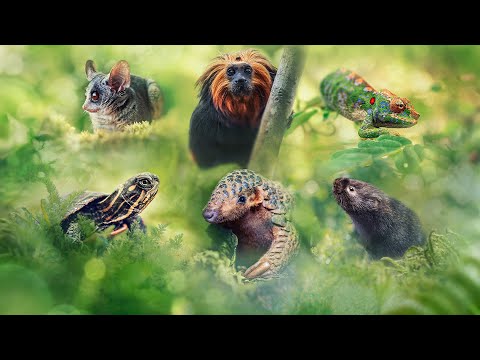 Big Little Journeys - 2023 - BBC Two Documentary Series Trailer