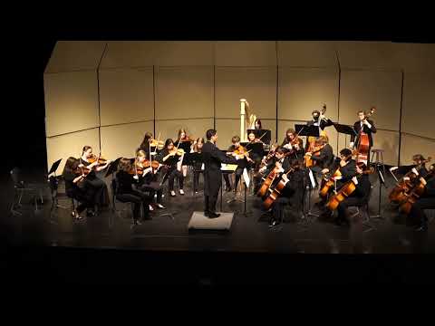 Allegro Moderato "From Symphony No. 3" - C. Saint-Saens (Arr. Monday) - By Hickman Camerata Orch.
