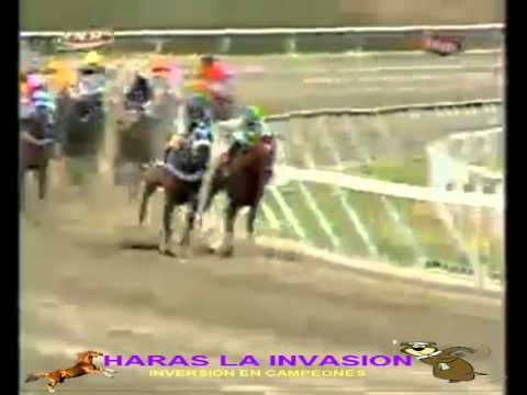 LA RINCONADA 11 CARRERA DOMINGO 08 DE FEBRERO DEL 2015