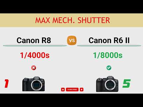 Canon R8 vs Canon R6 II Comparison: 1 Reasons to buy the R8 and 9 Reasons to buy the R6 II