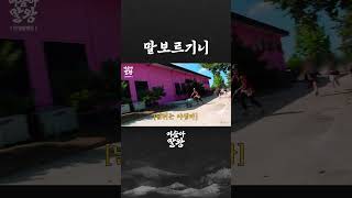 말보르기니