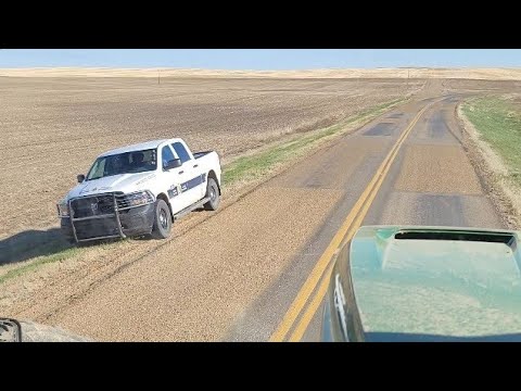 Longest move & border patrol 😐