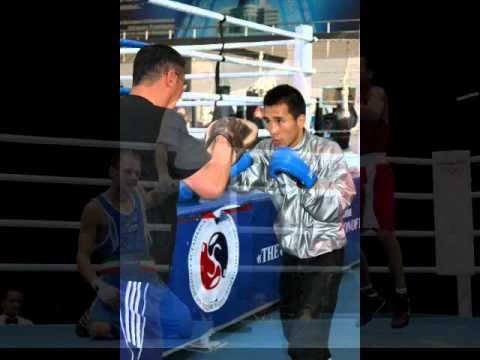 gantulga boxing