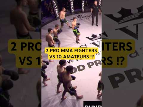 UFC Veterans Making Their Mark Across the Combat Sports Landscape