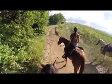 Trekking Bistagno e le 5  2014