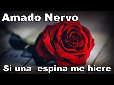 AMADO NERVO GRAN POETA!! Si una espina me hiere - Declamado por FENETÉ