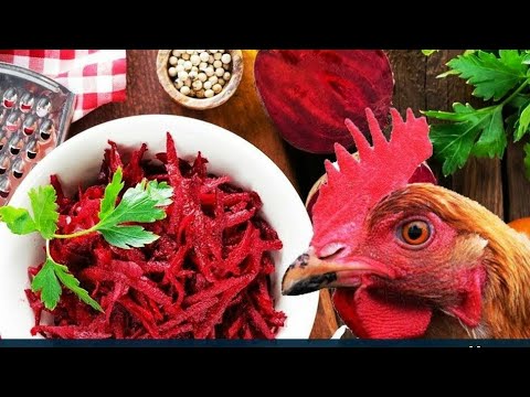 TOYUQLARIN QURDUNU QEDIM USULA TOKULMESI