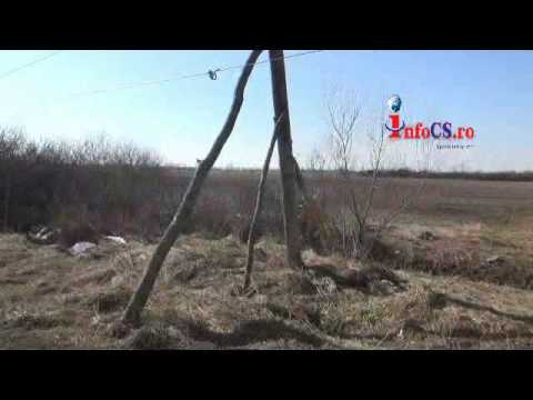 Stalpi originali in Caras Severin