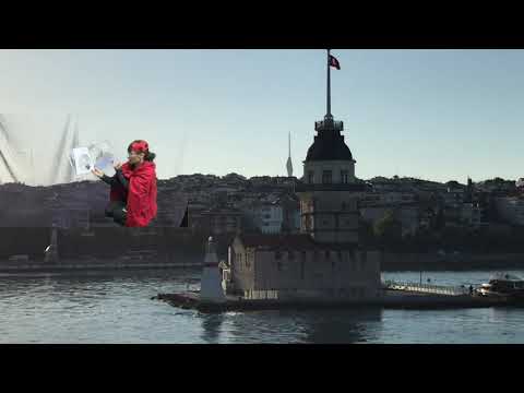 What the Ladybird Heard at the Seaside