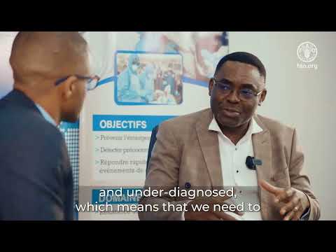 Rabies: how can the transmission of the virus be prevented? What does the law say?