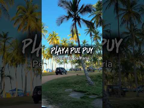 Playa Pui Puy en la Península de Paria del Estado Sucre, Venezuela. Un paraíso cocotero