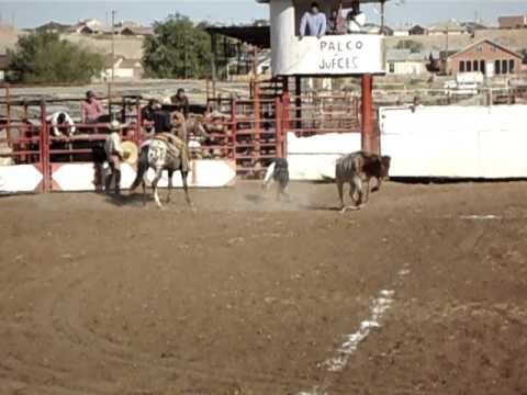 Jineteo de toro #2 (16 Oct. 2011)