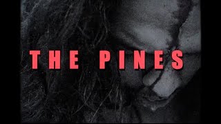 The Pines Music Video