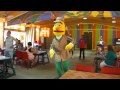 Pigeon Dance MP4