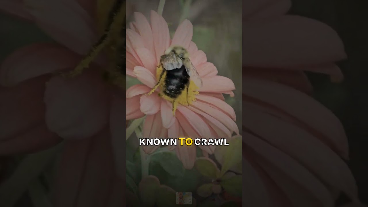 🐾 Wild Animal Facts That Sound Fake (Real Behavior): A Verified Fact Worth Knowing