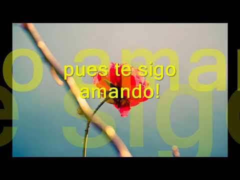 Te Sigo Amando video