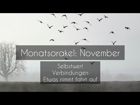 Monatsorakel: November 2020