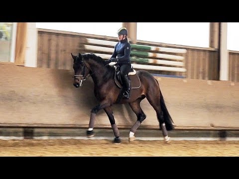 Bailador im Februar 2019