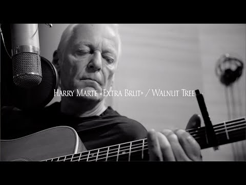 Harry Marte - Walnut Tree